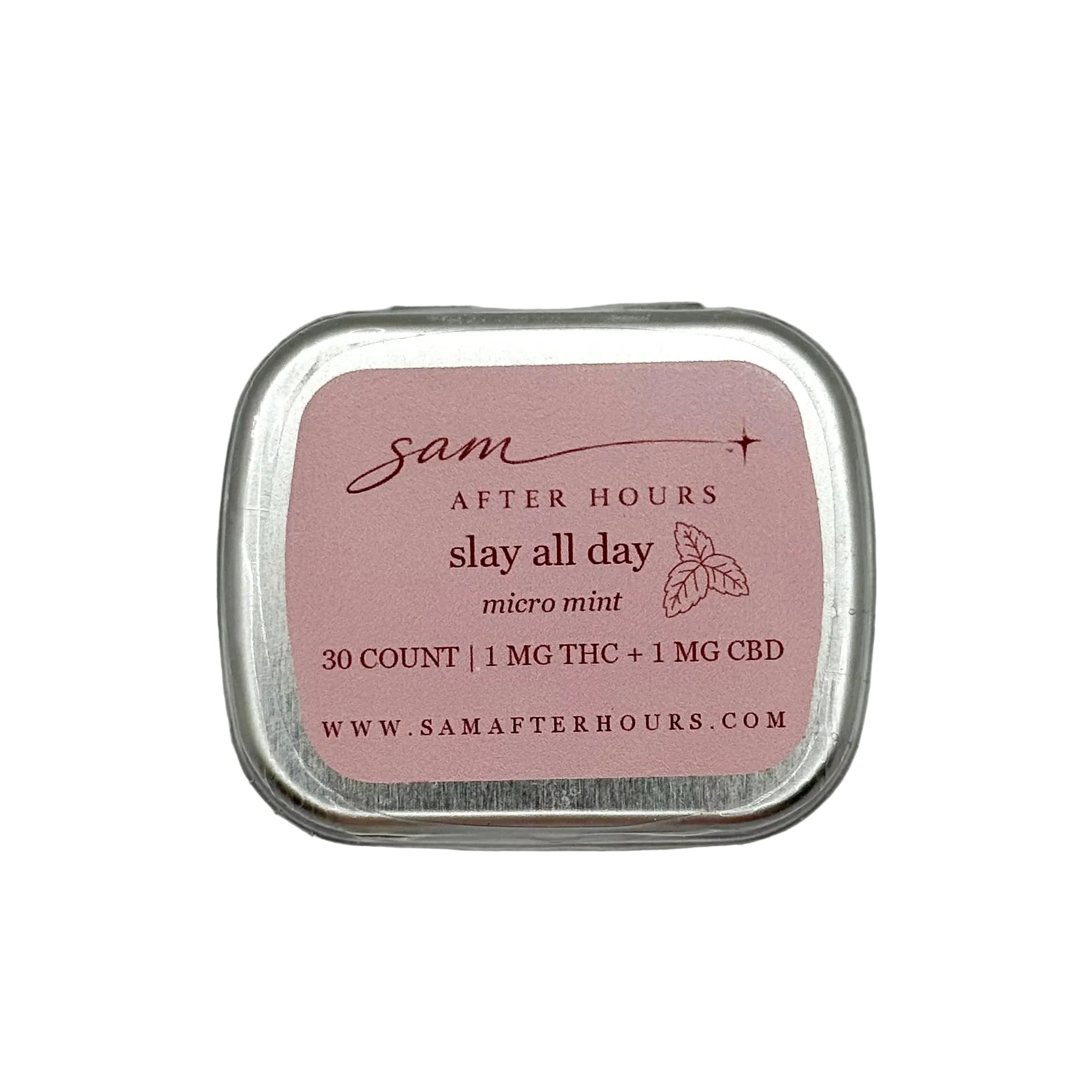 slay all day - micro mint🍃